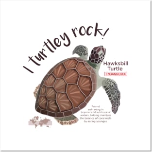 Hawksbill Turtle Posters and Art